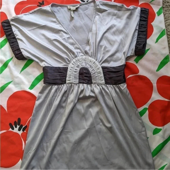 Silver and Dark Grey Silver A-Line Rainbow Dress BCBG Generation Sz 2 - Picture 5 of 6